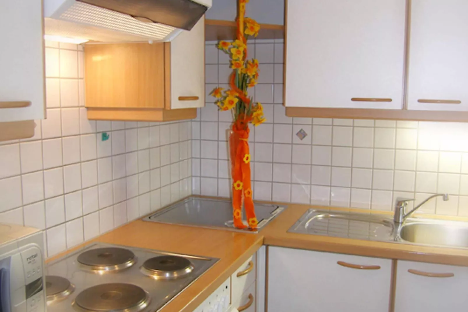 Haus Carnot - Apartment EG-Kitchen
