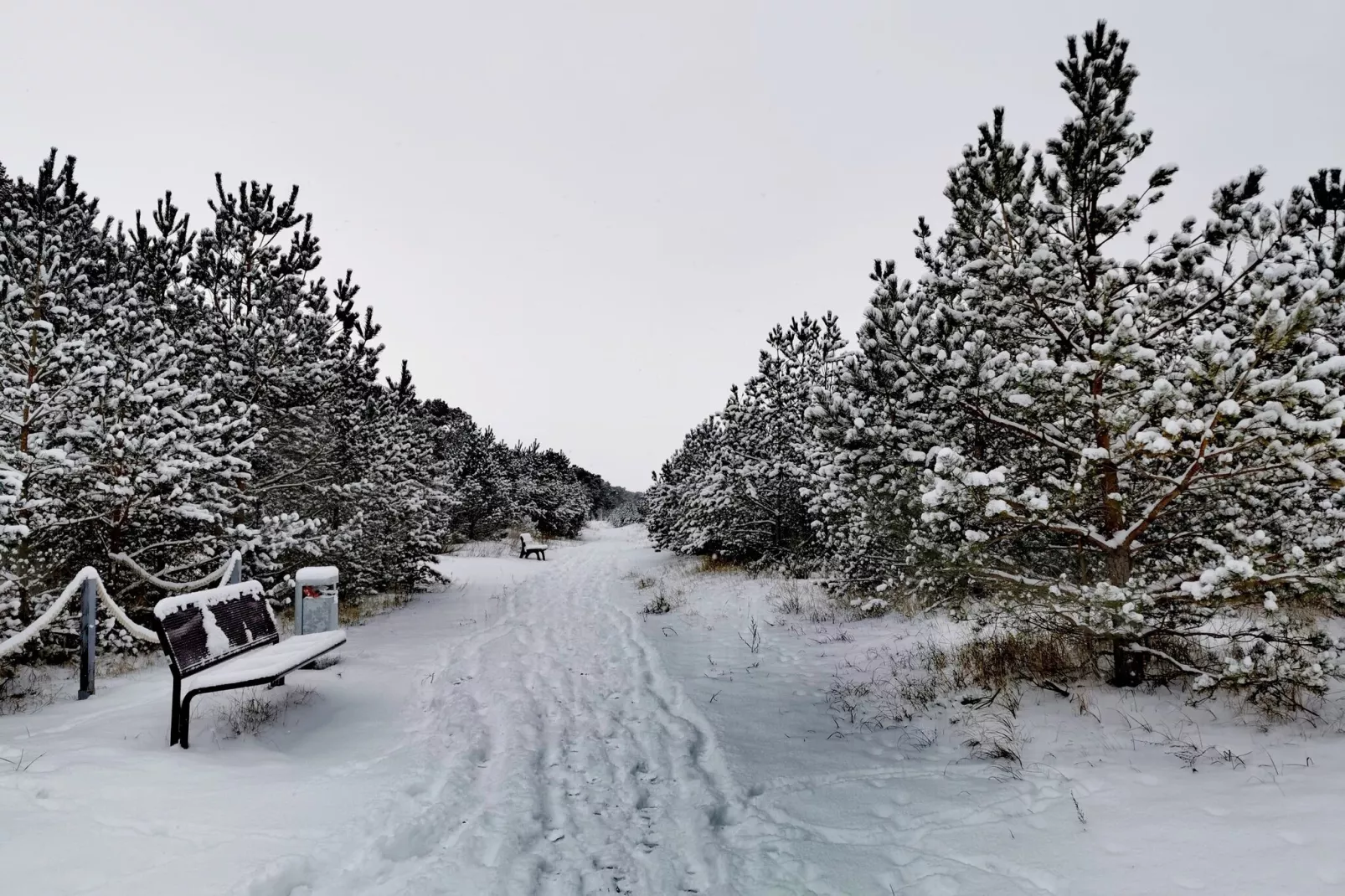 Ferienwohnung Rügenblick-Area winter 20km