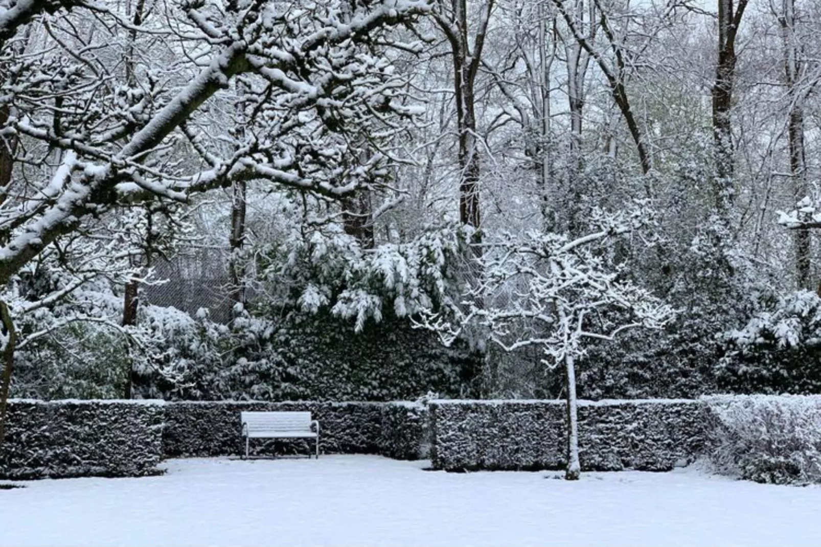 Villa Loonse Duinen-Jardin en hiver