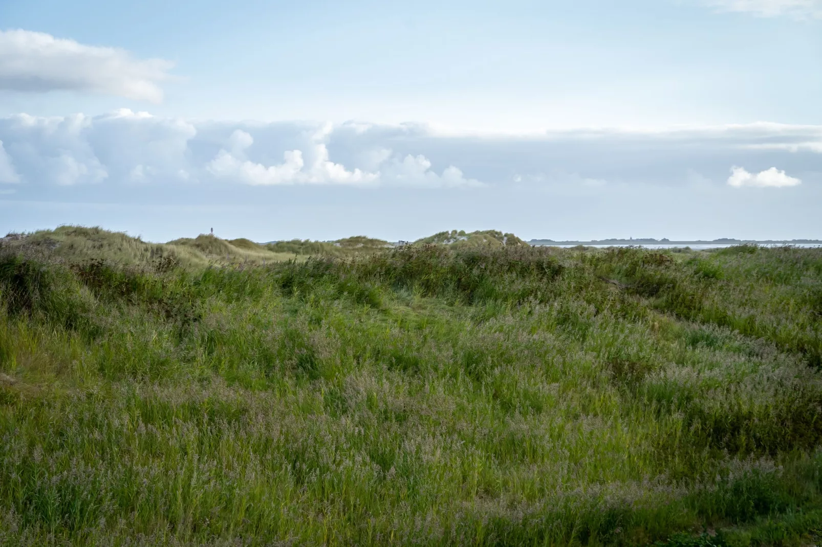 Haus Eriel OG rechts-View summer