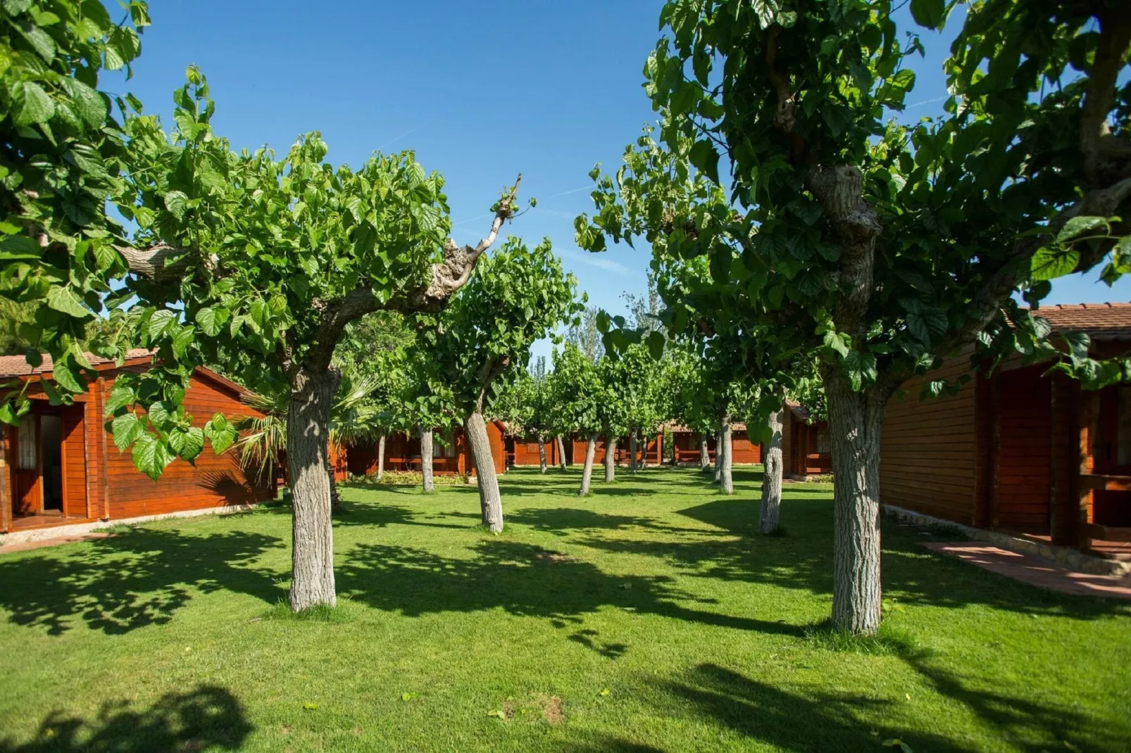 La Llosa 1 Xaloc-Extérieur été