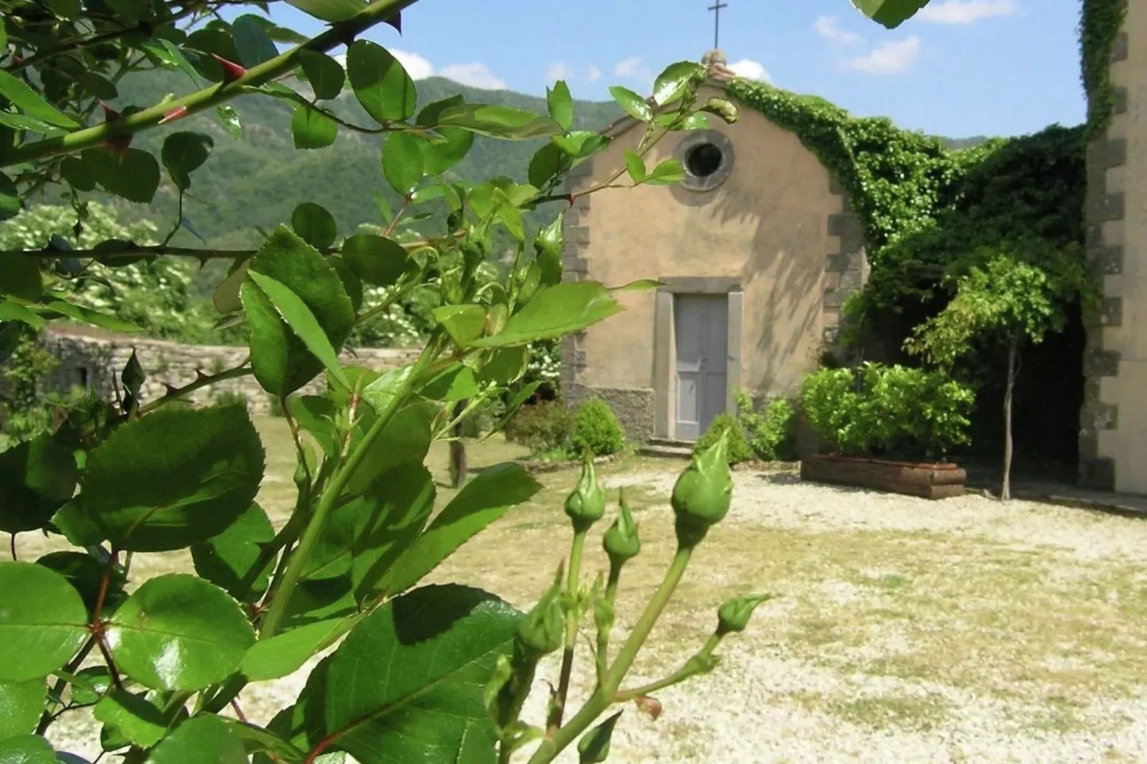 Palazzo-Areas summer 1km