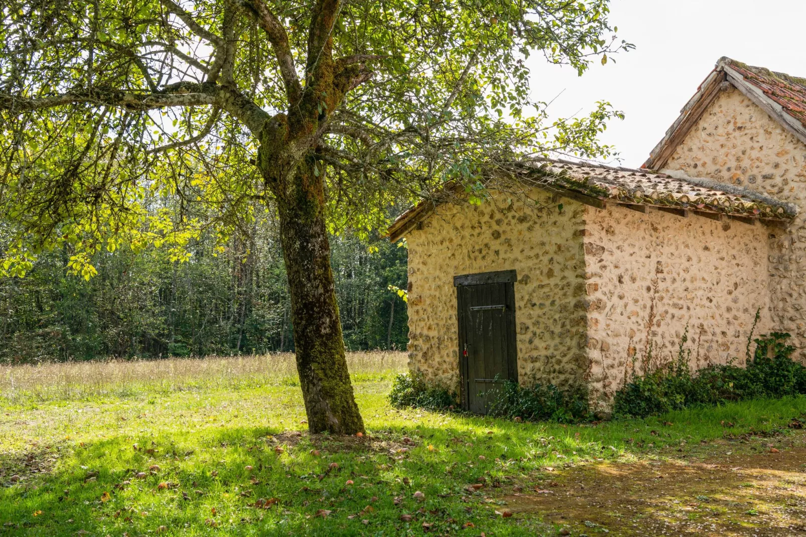 Cendrieux-Gardens summer