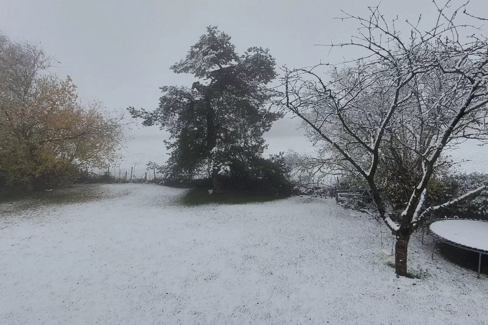 Ardennes Bleu 8 pers maximum-Garten Winter