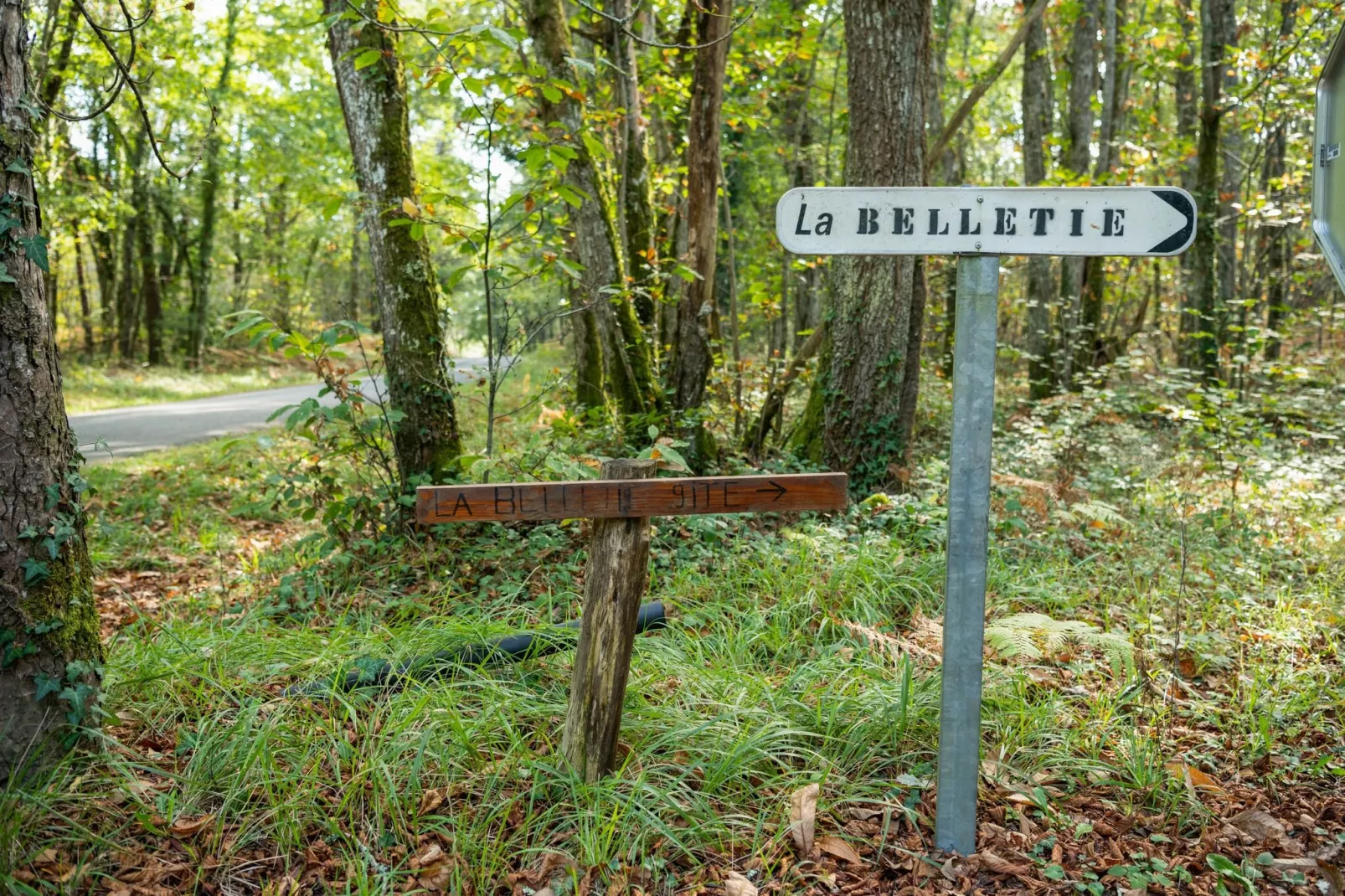 Cendrieux-Areas summer 1km
