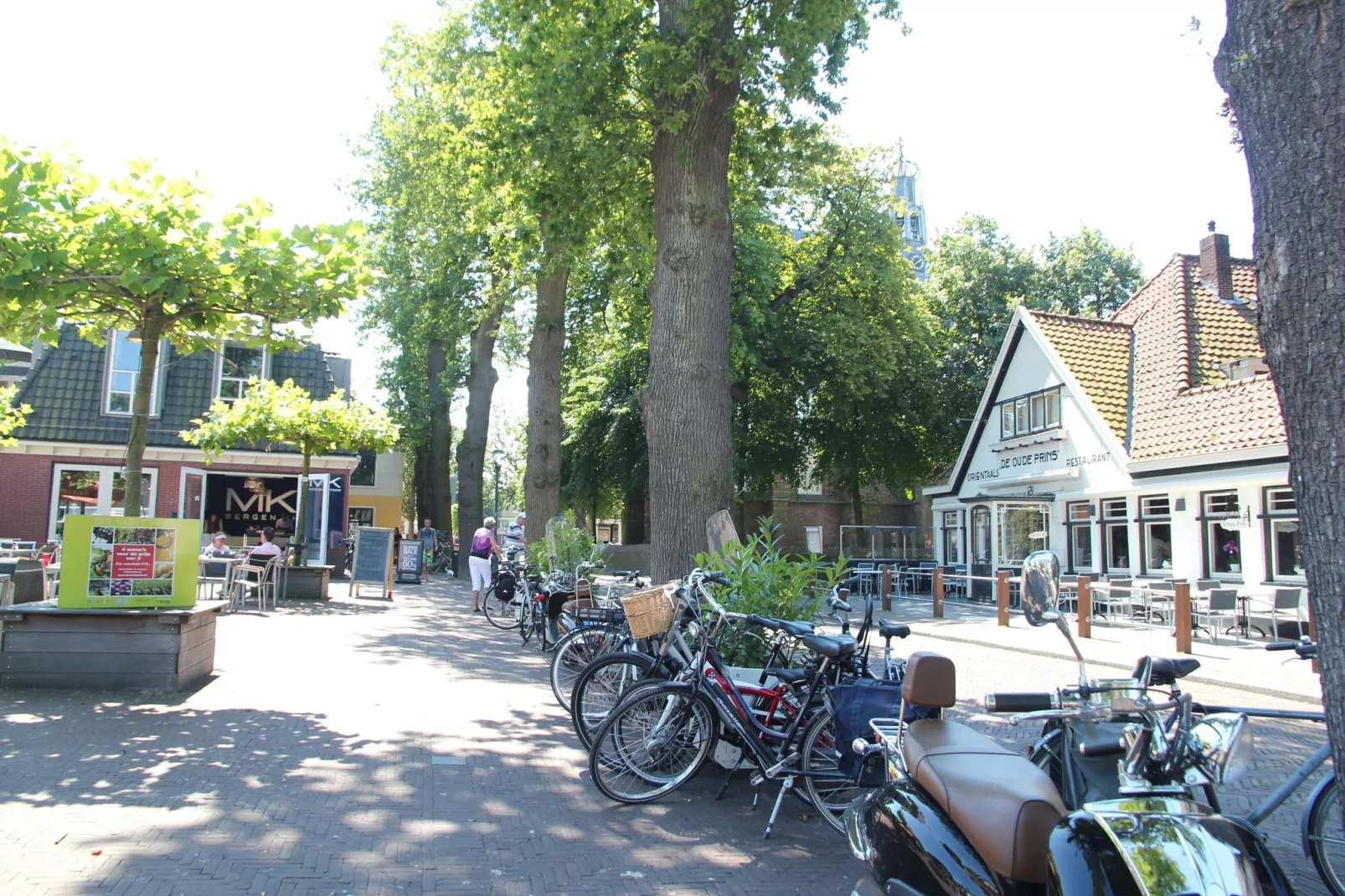 Uilenbergh Bergen-Areas summer 1km