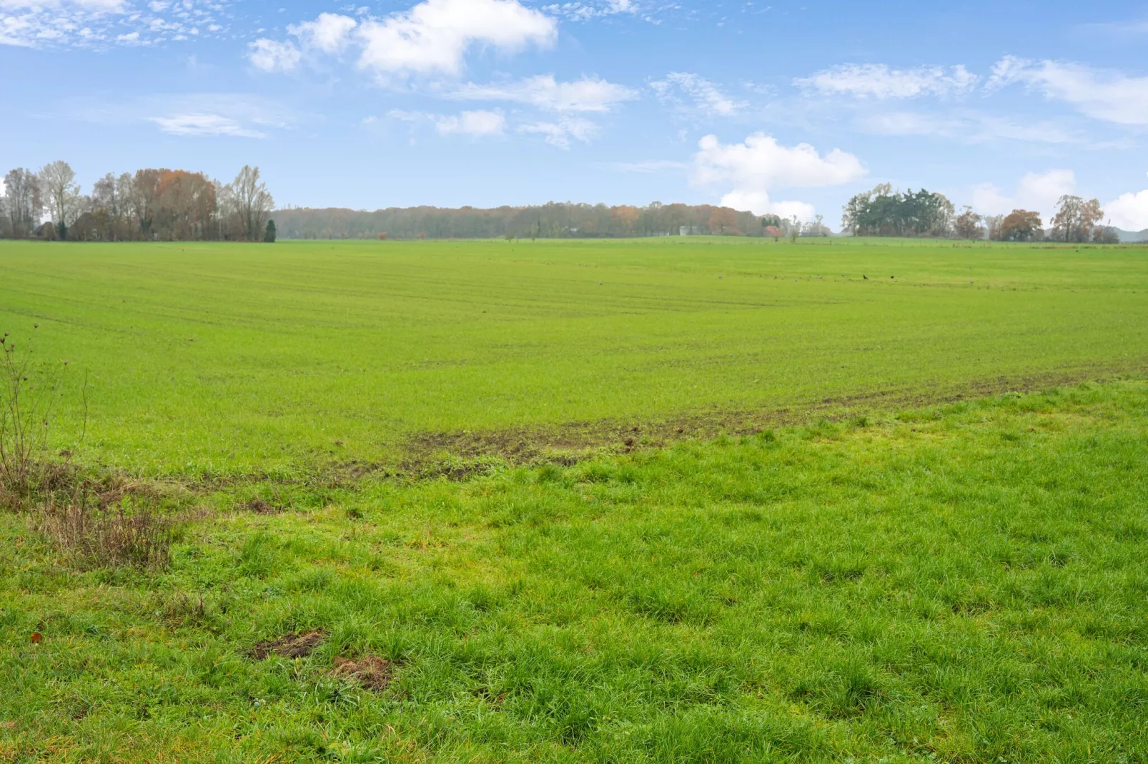 Vakantiewoning Hoevendeel-Gebiete Sommer 1 km