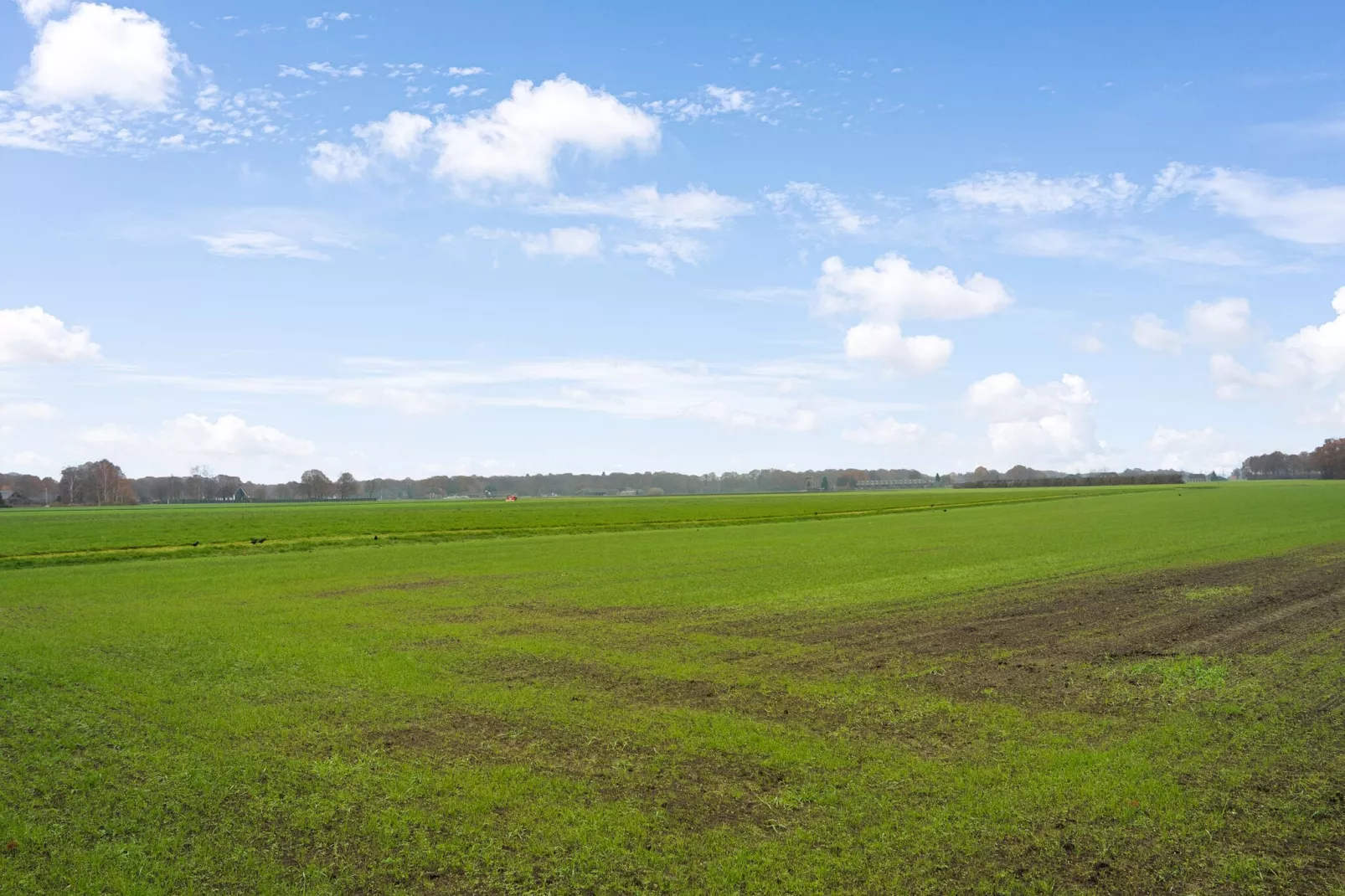 Vakantiewoning Hoevendeel-Gebiete Sommer 5 km