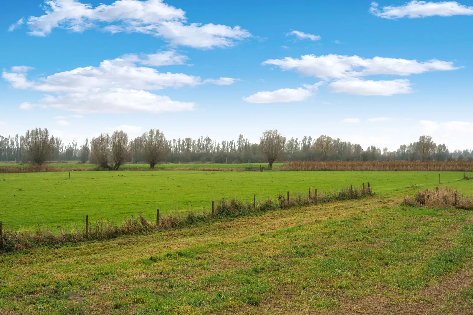 Vakantiewoning Hoevendeel-Gebiete Sommer 5 km