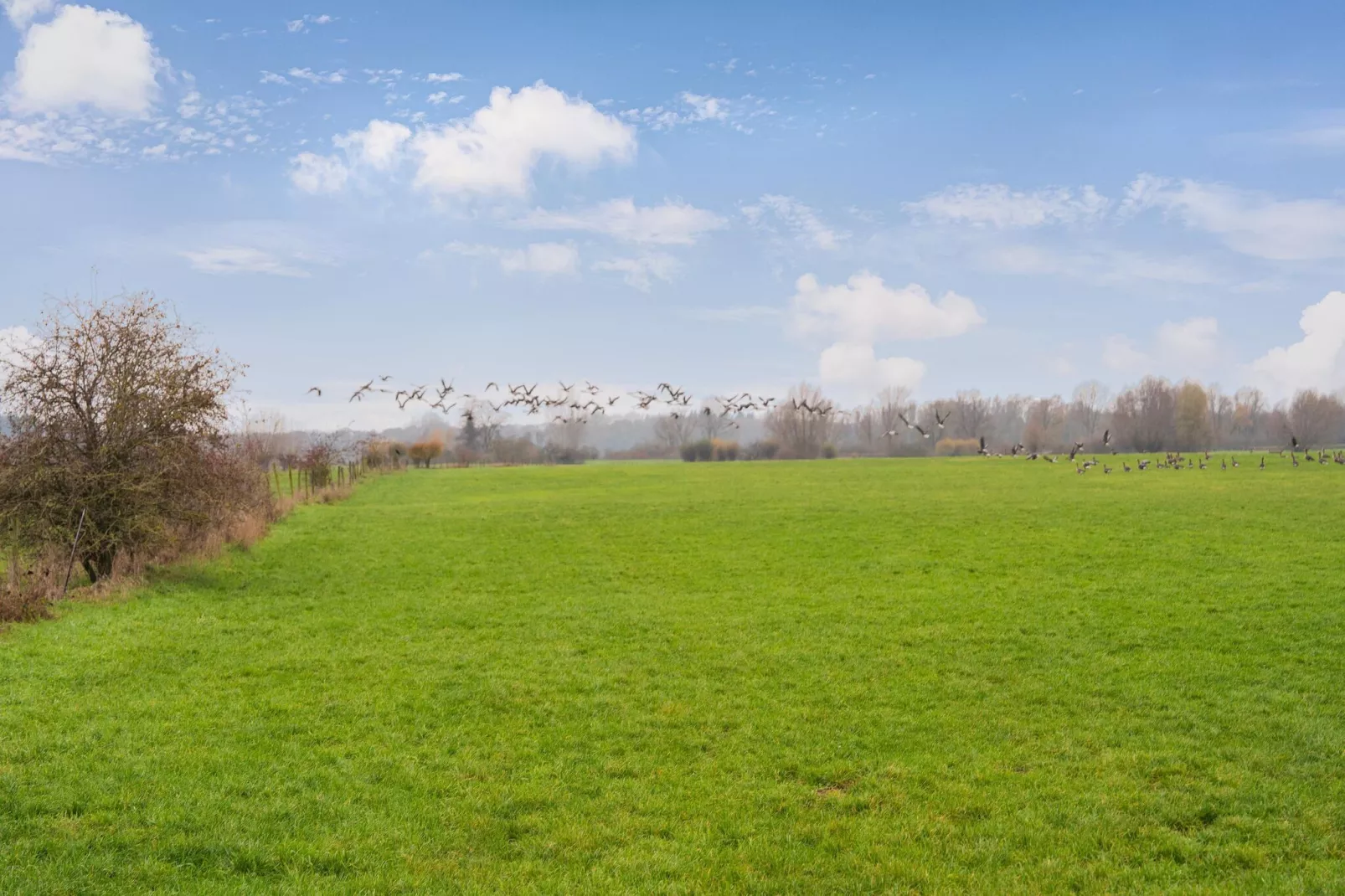 Vakantiewoning Hoevendeel-Gebiete Sommer 5 km