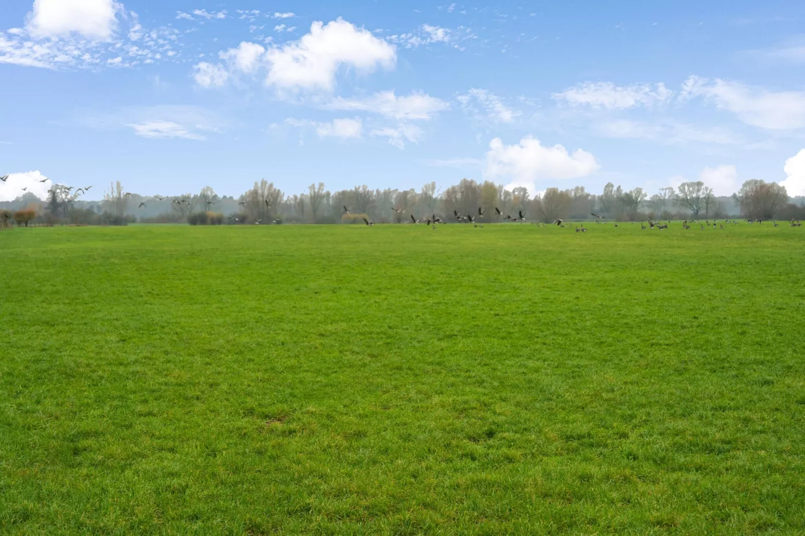 Vakantiewoning Hoevendeel-Gebiete Sommer 5 km