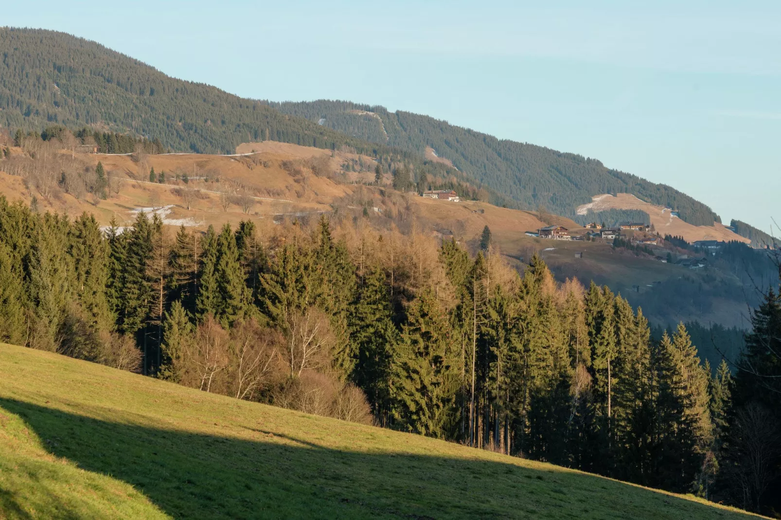 Waldrand-Areas summer 1km