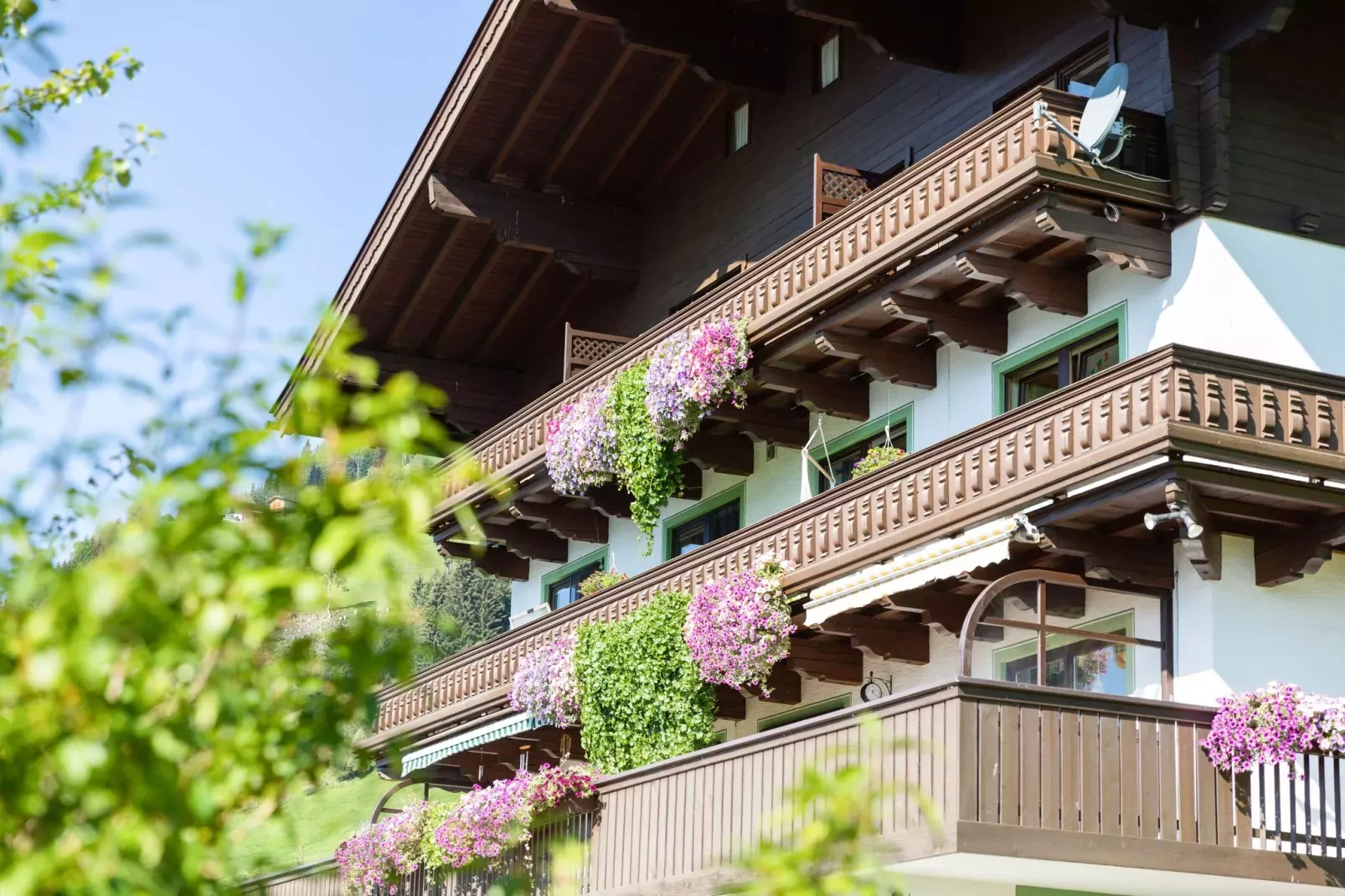 Waldrand-Exterior summer