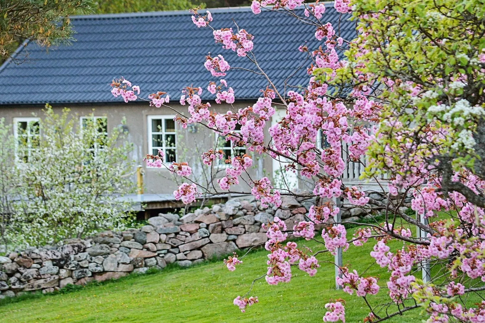 6 person holiday home in VAREKIL-Outdoor