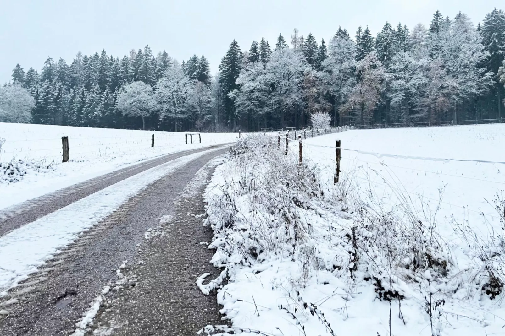 Chata no 6-Exterior winter