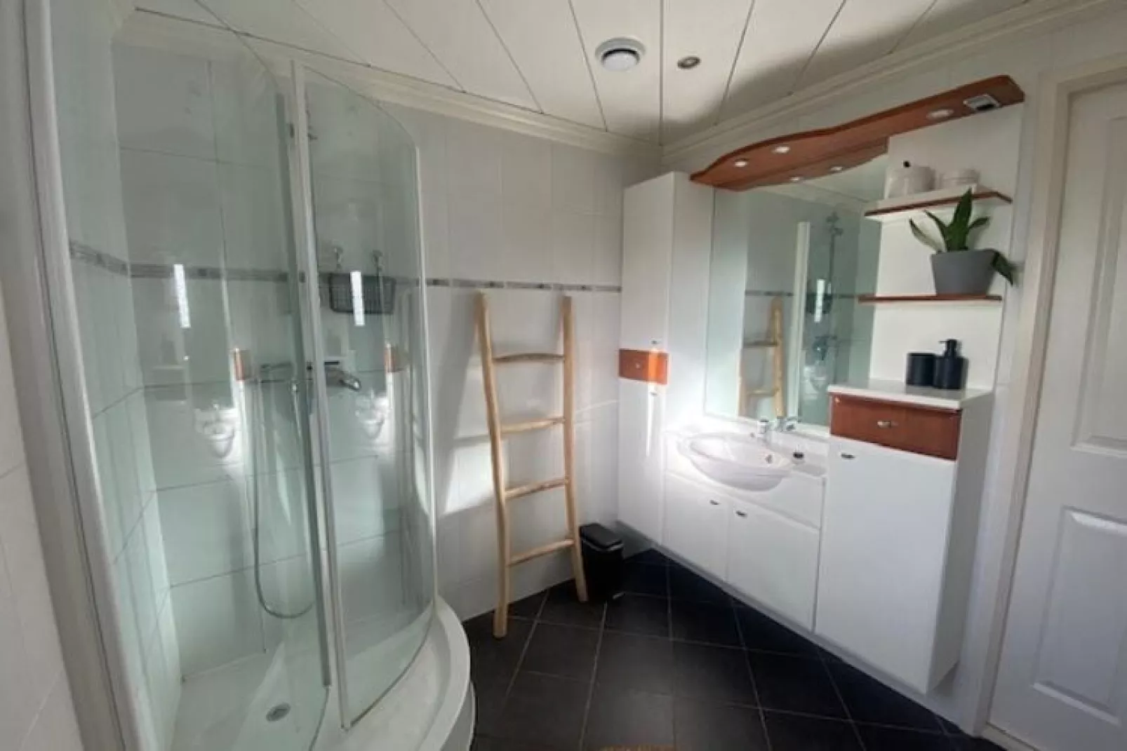 Chalet Kieftveen Voorthuizen 6 pax-Bathroom