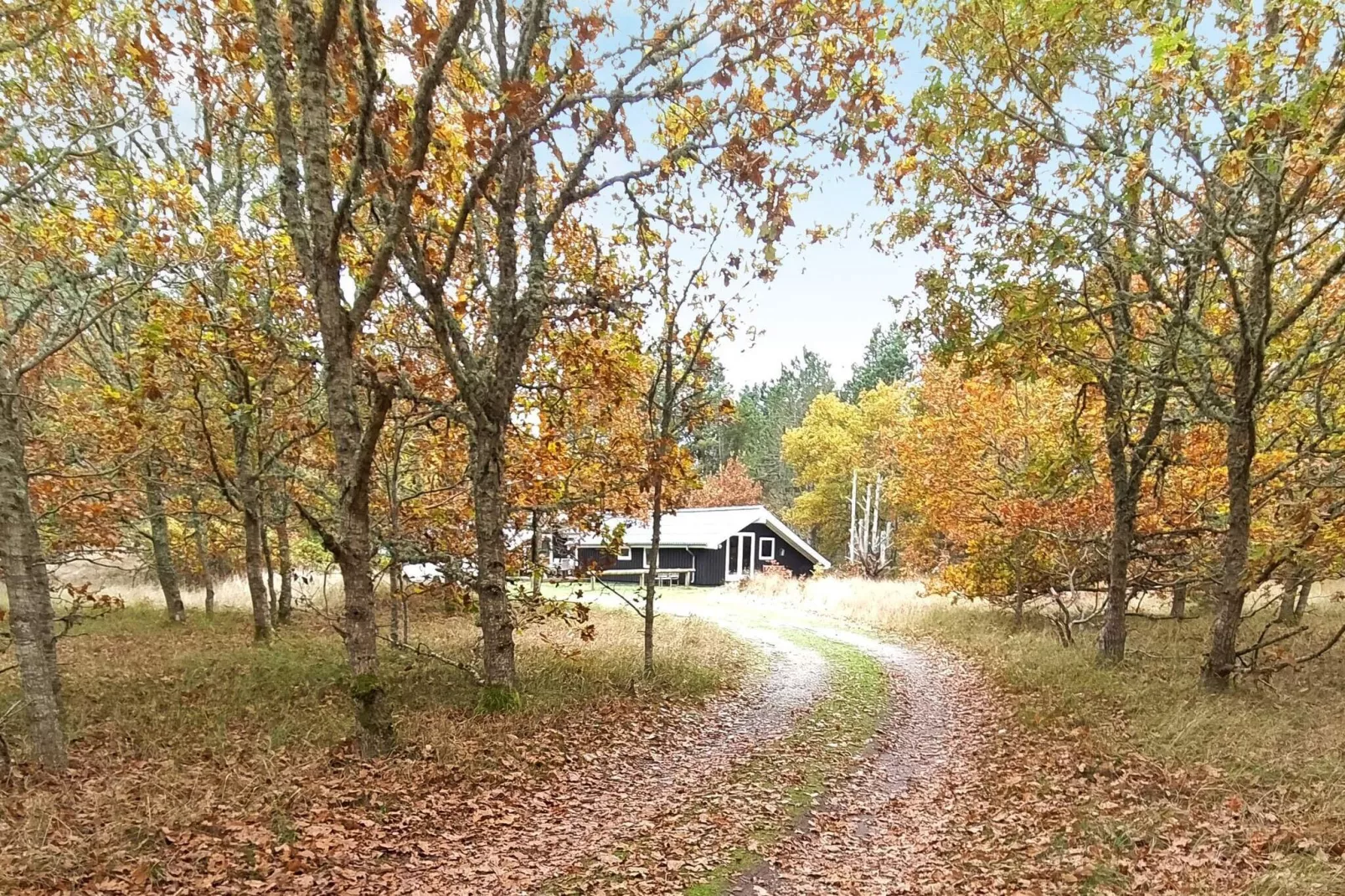 12 person holiday home in Ålbæk