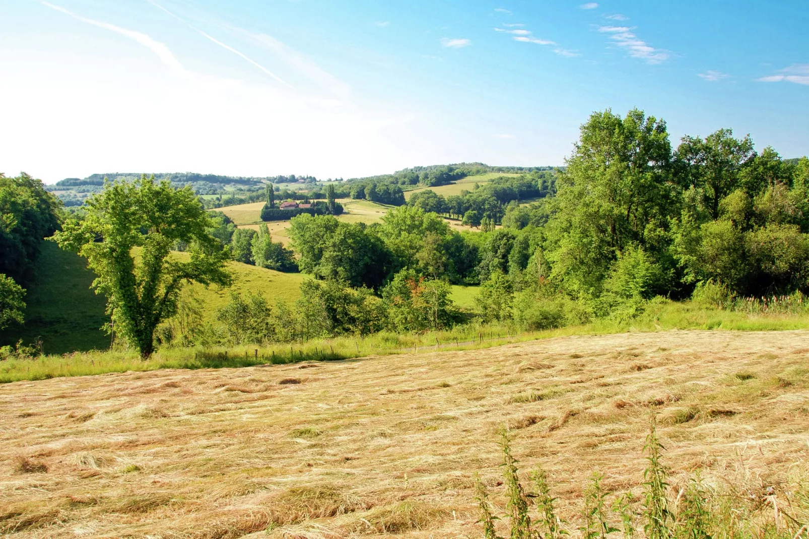 Maison Olivier 9P-View summer
