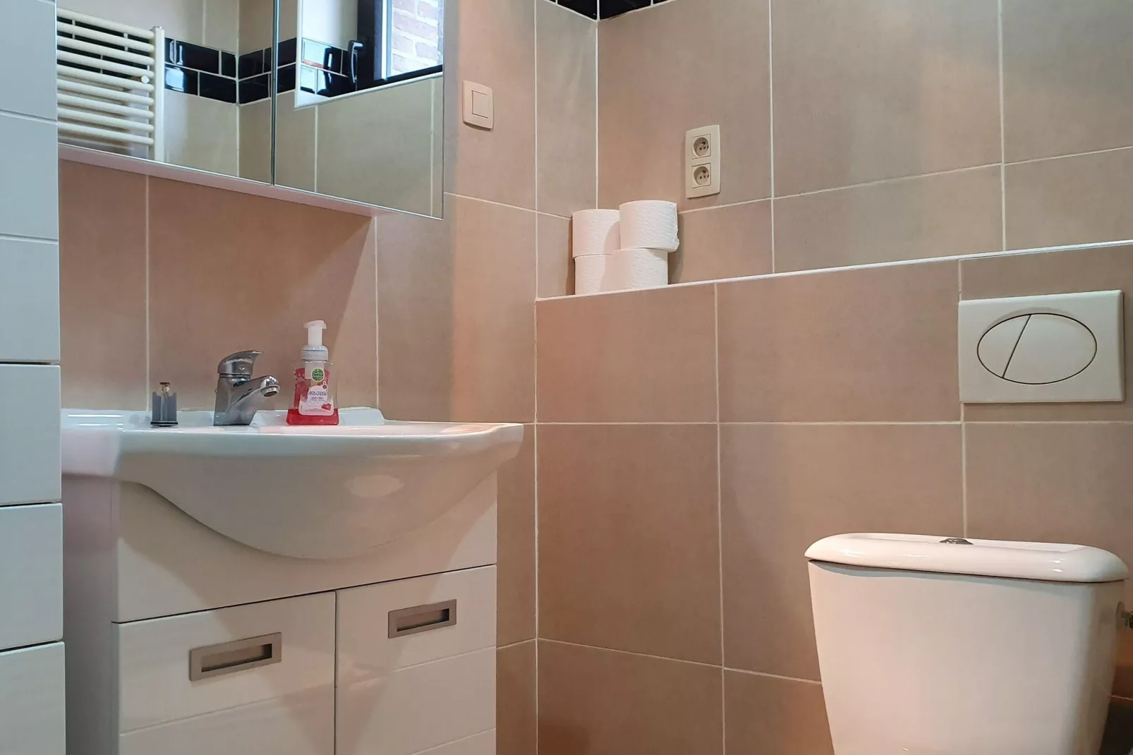 Leenhaag-Salle de bain