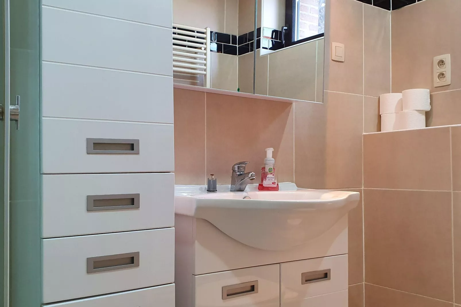 Leenhaag-Salle de bain