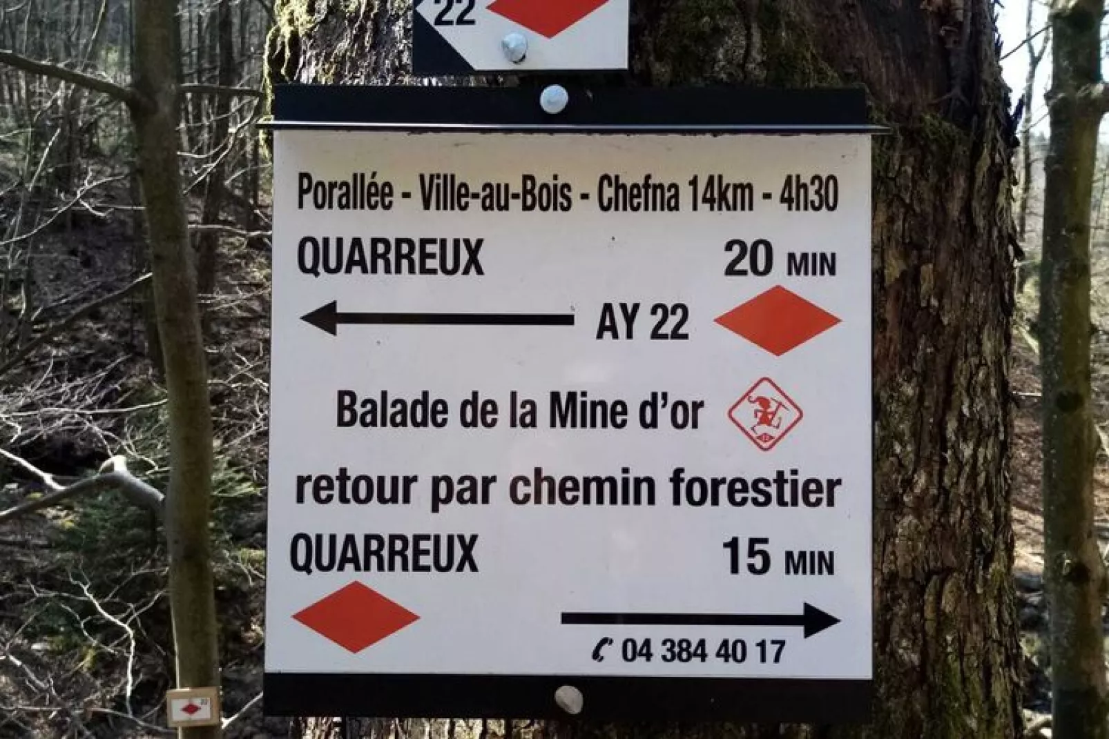 Le 51-Areas summer 20km