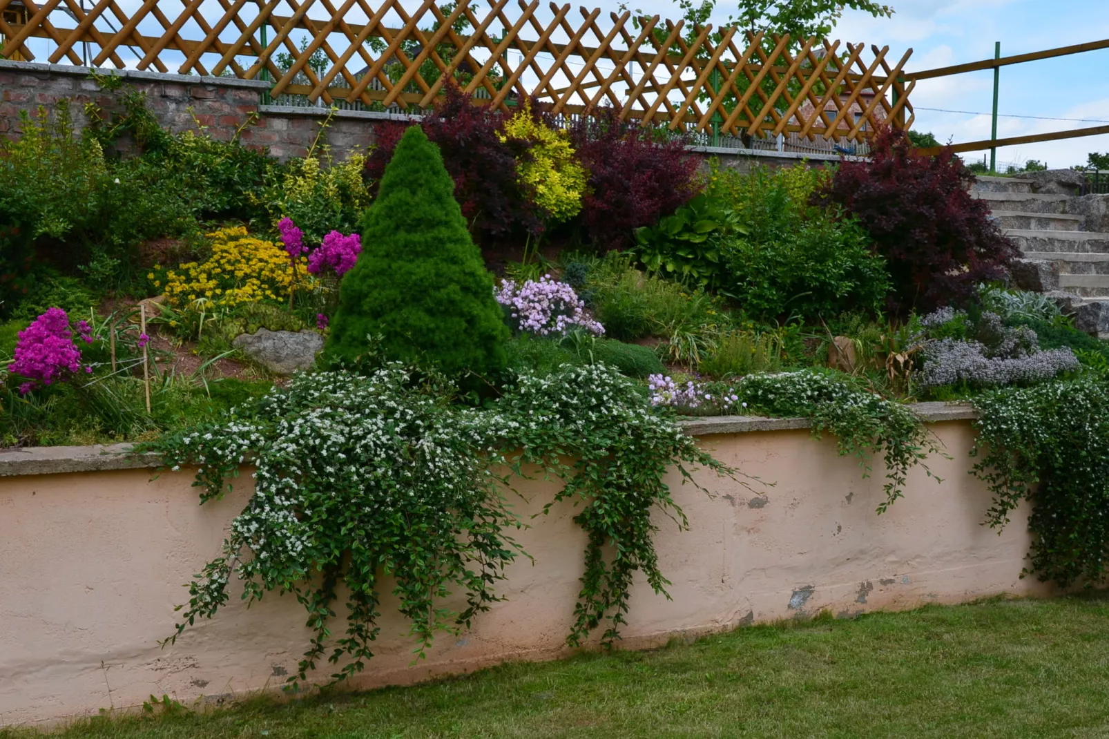 Jitka-Gardens summer