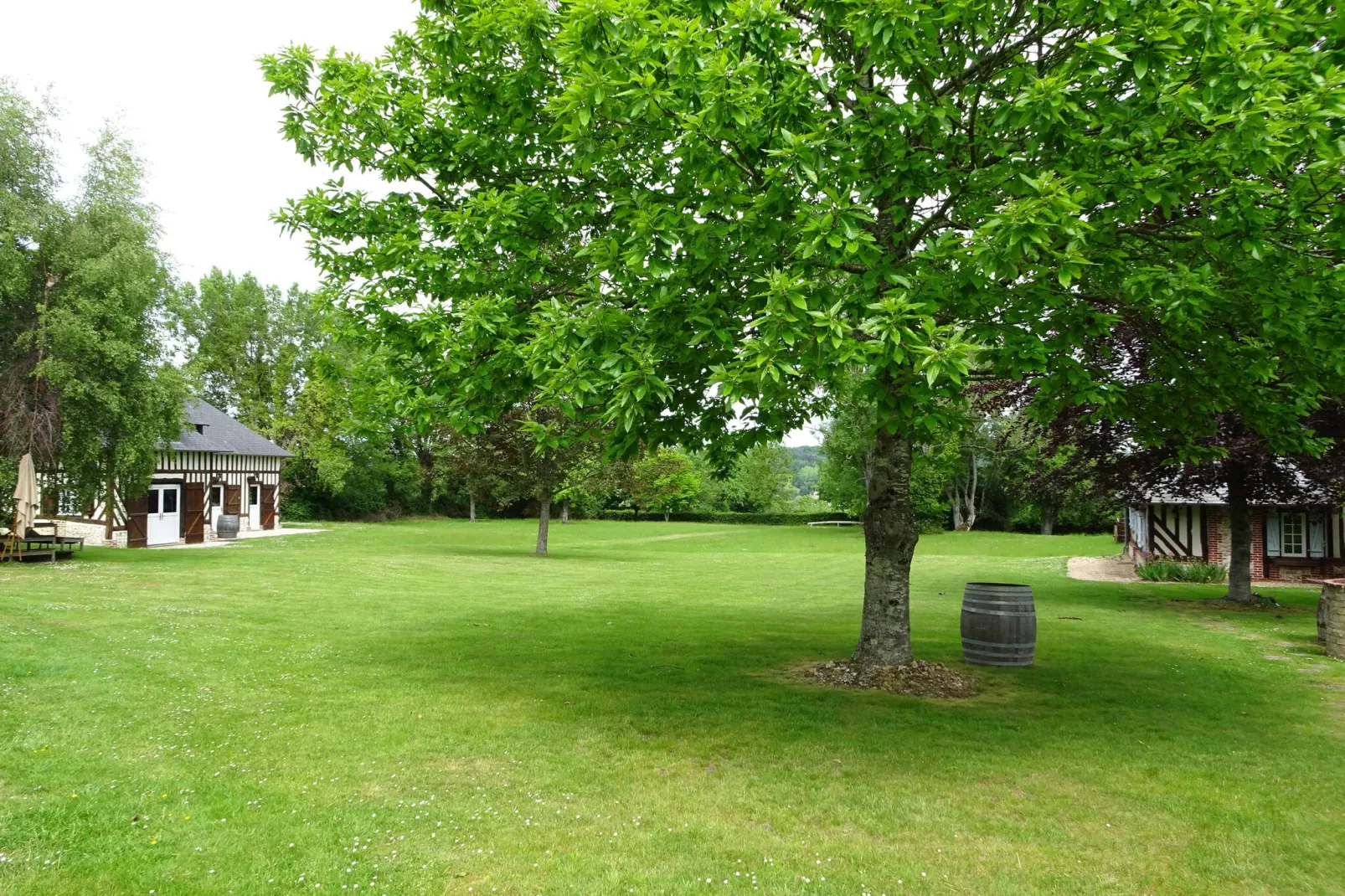 Property in Le Mesnil sur Blangy-View summer