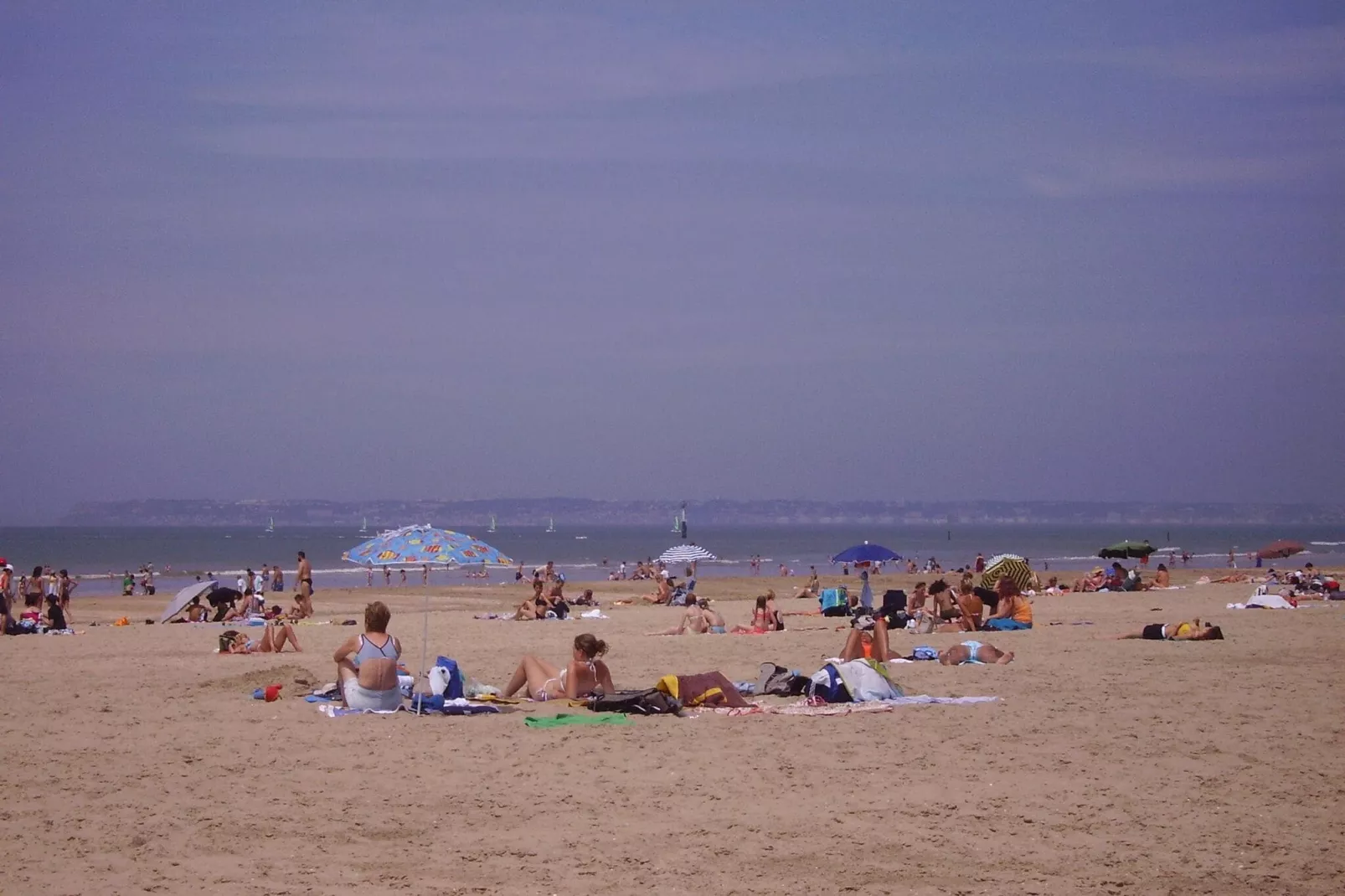 Property in Le Mesnil sur Blangy-Areas summer 20km