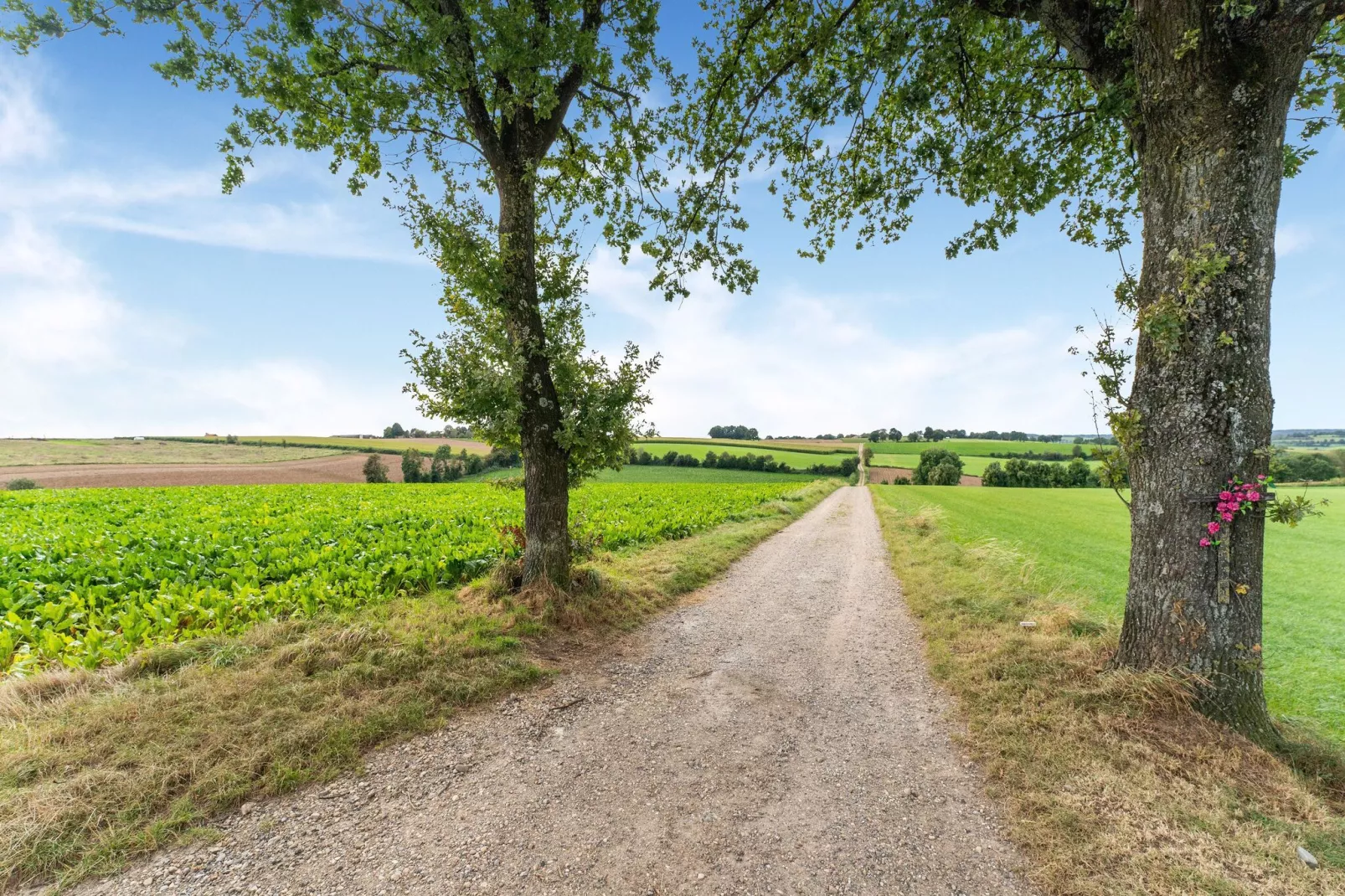 Valleyview Cottages - NR01-Areas summer 5km