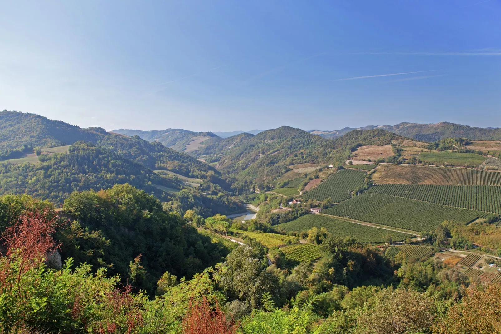 Appartamento Le Rondini-View summer