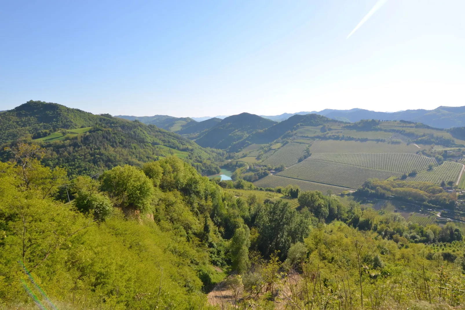 Appartamento Le Rondini-View summer