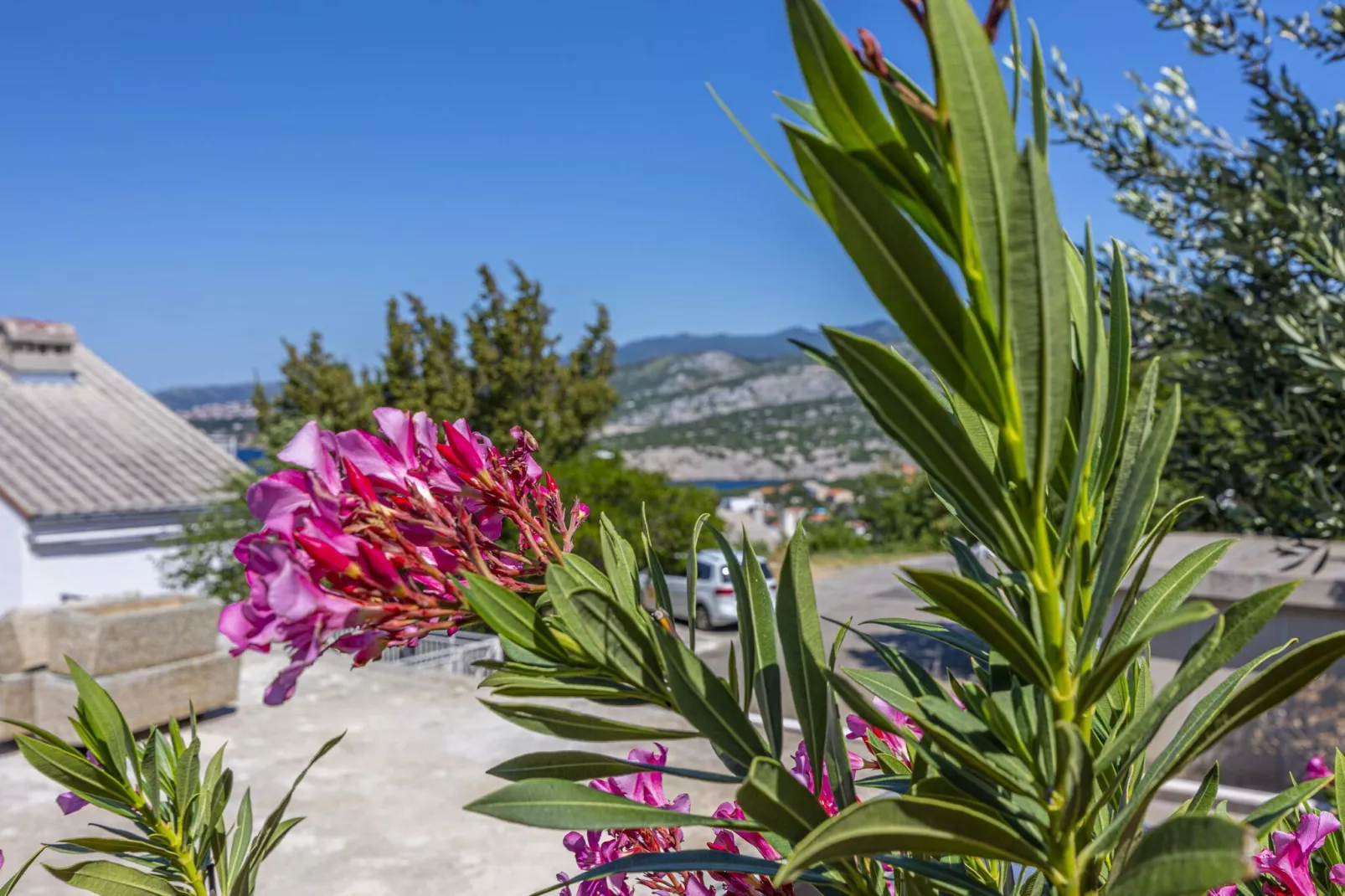 Villa Barbara-Ambiente