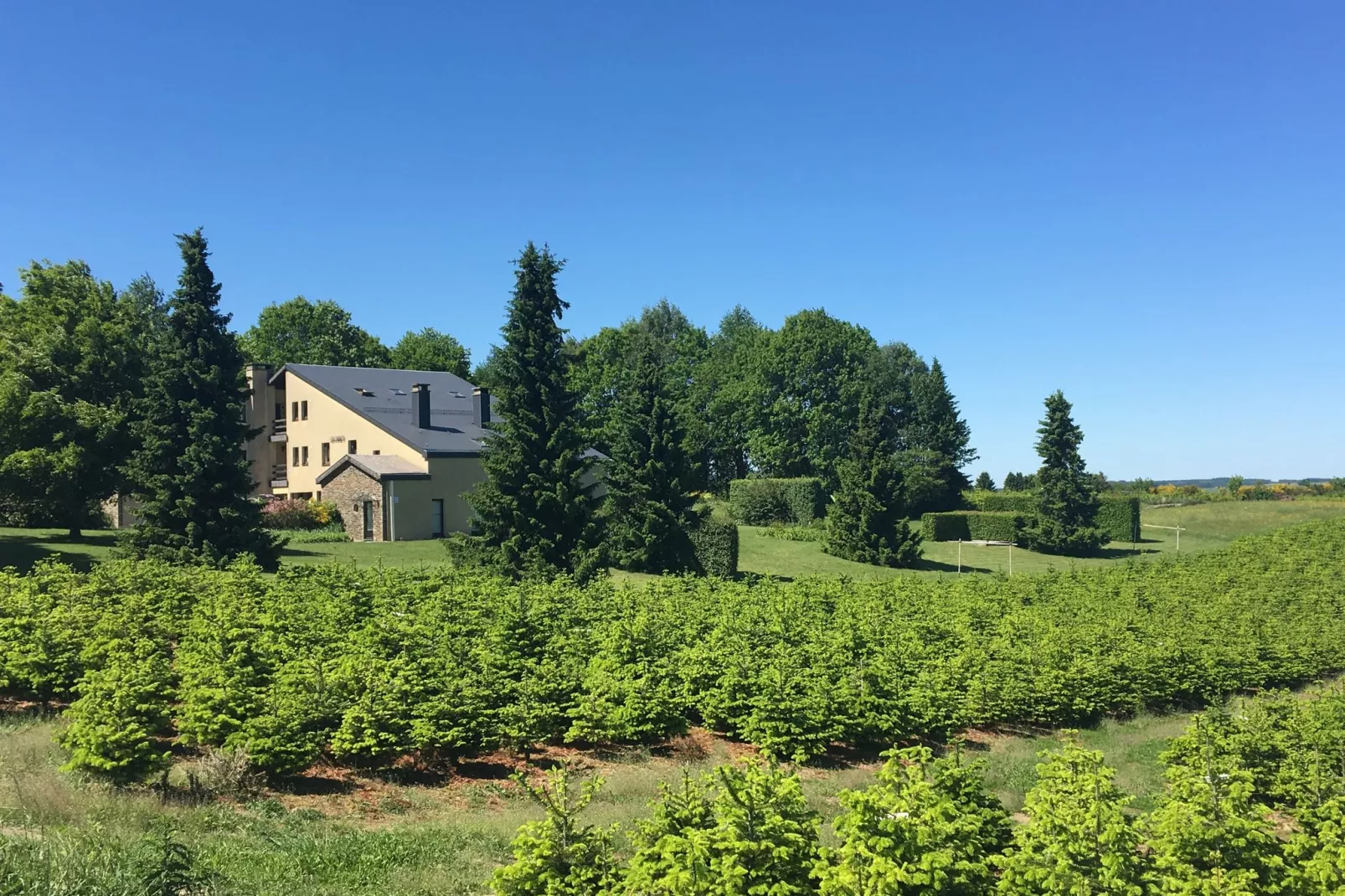 Les Chenets-Exterior summer