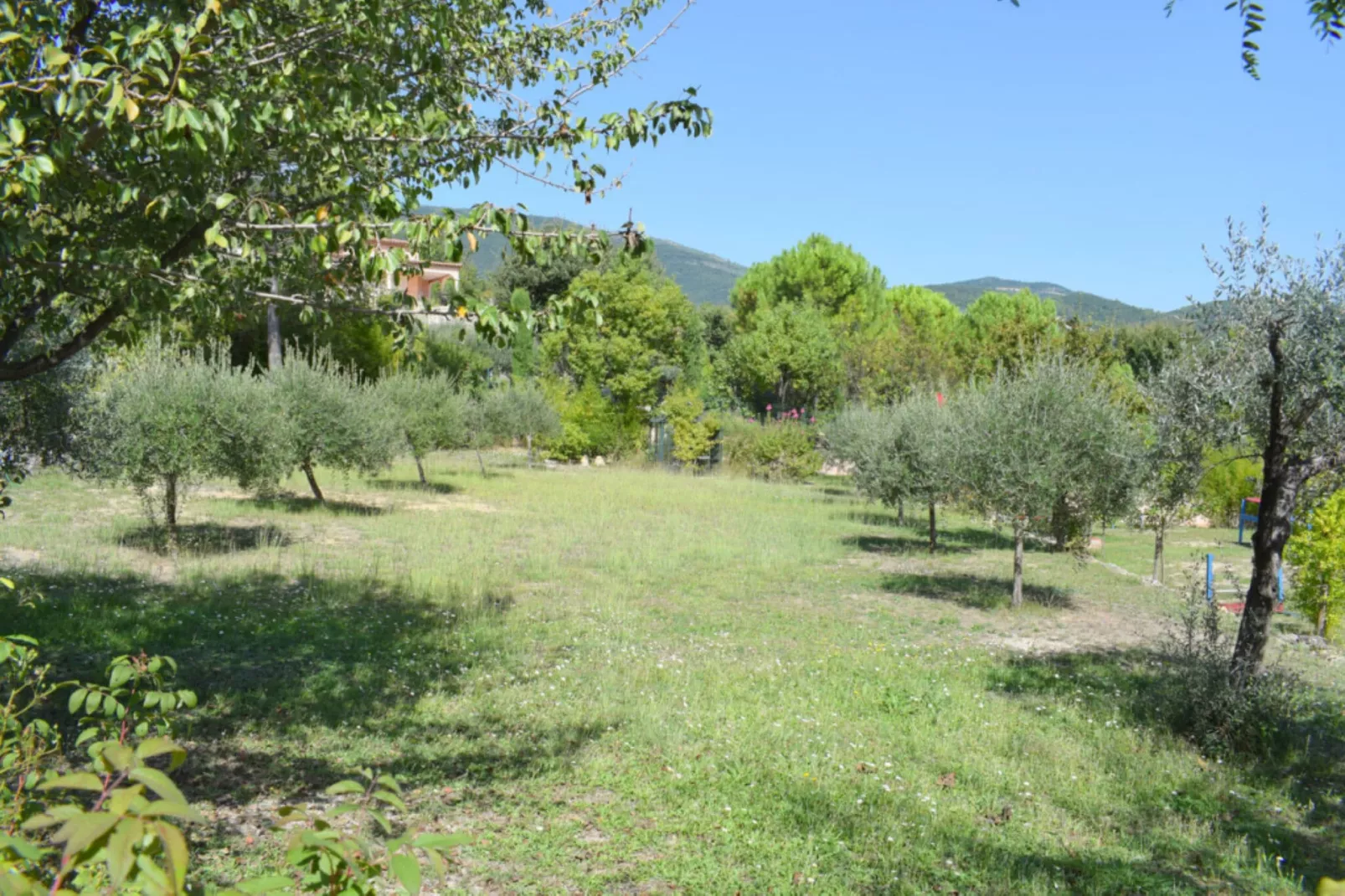 Villa Elvima-Gardens summer