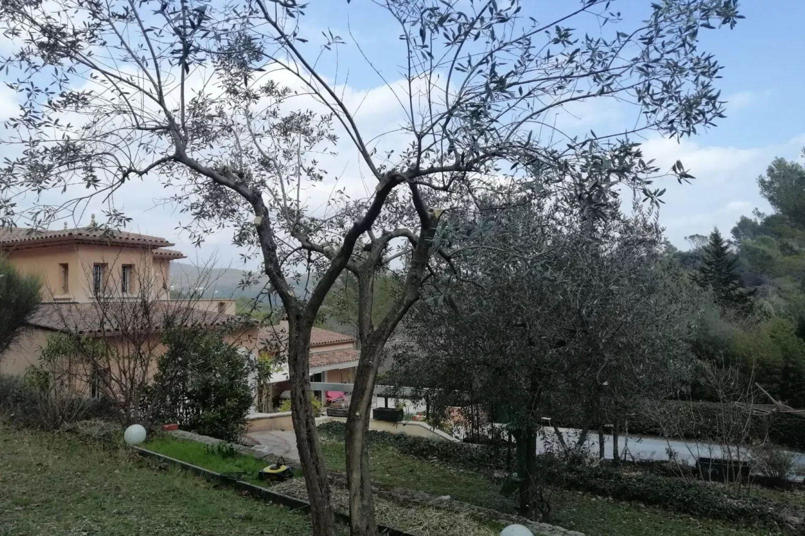 Villa Elvima-View summer