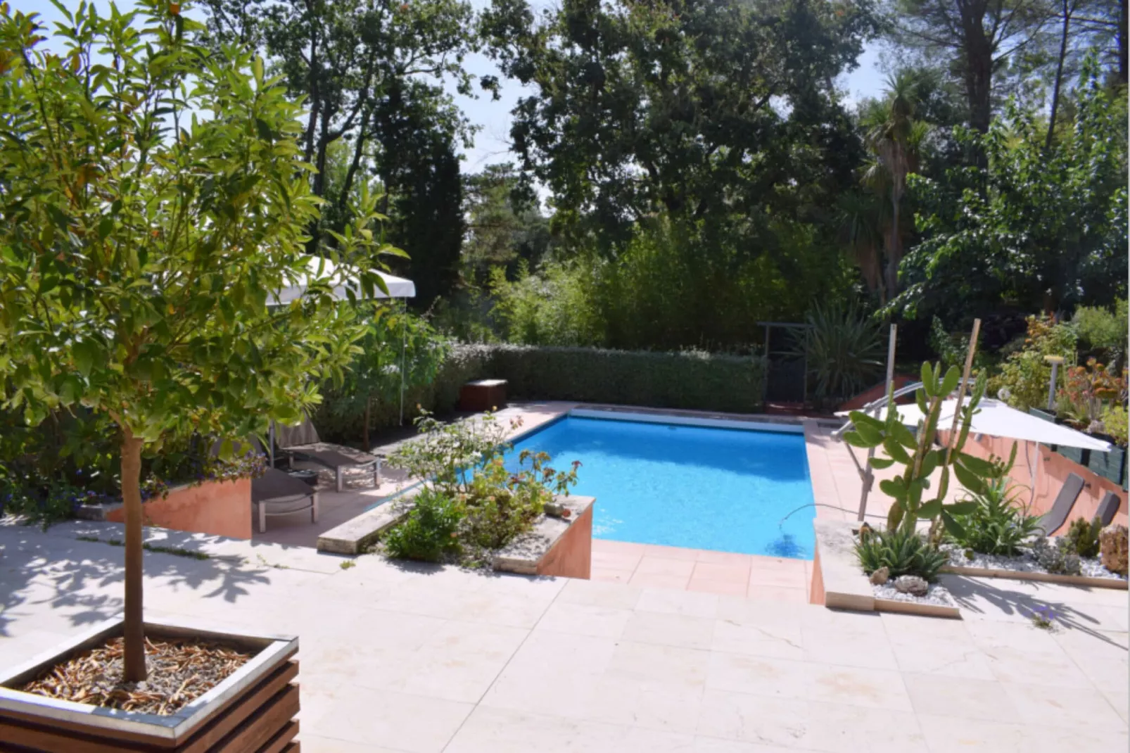 Villa Elvima-Terrace balcony