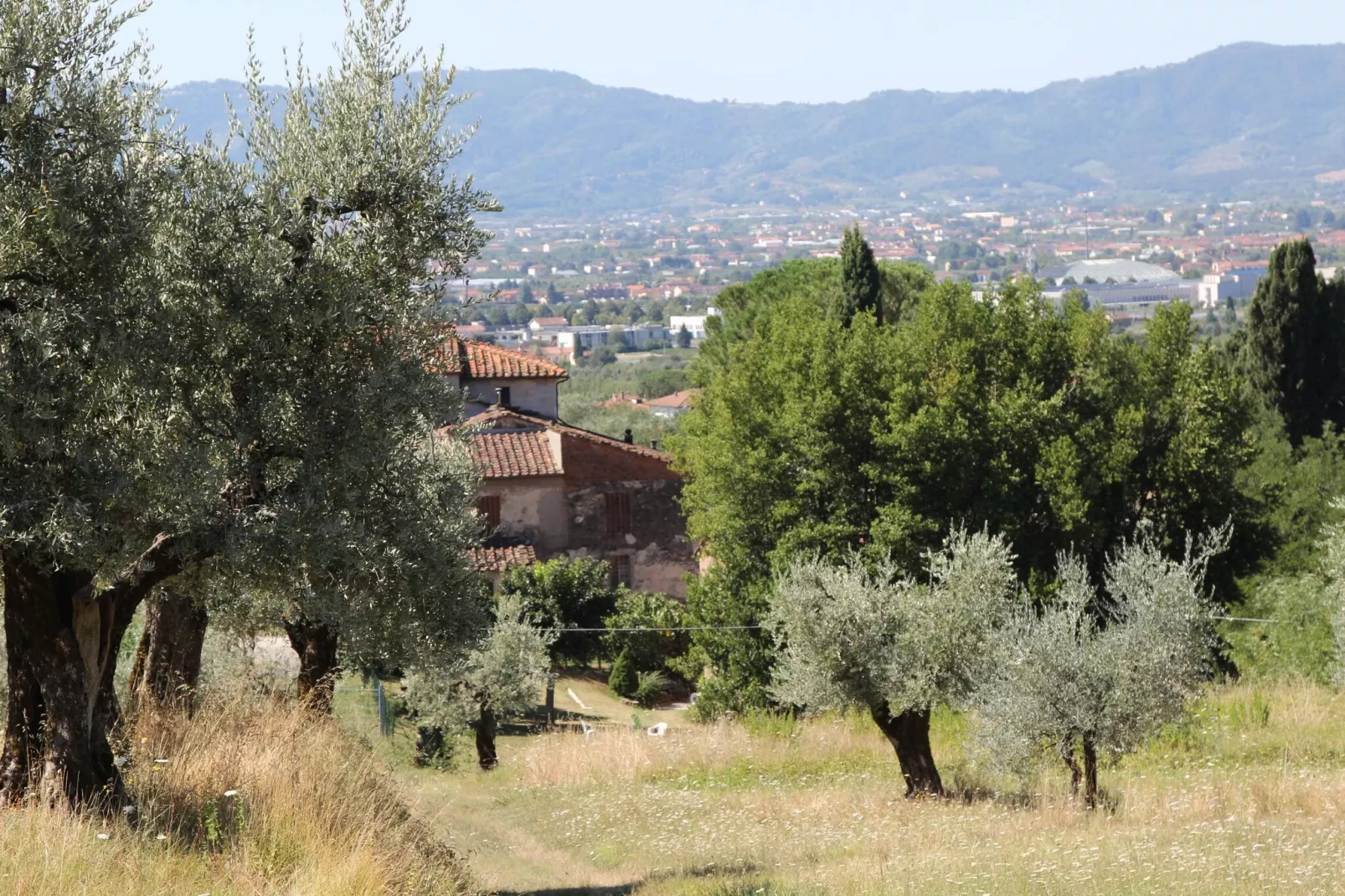 Villa il Brio x 6-Exterior summer