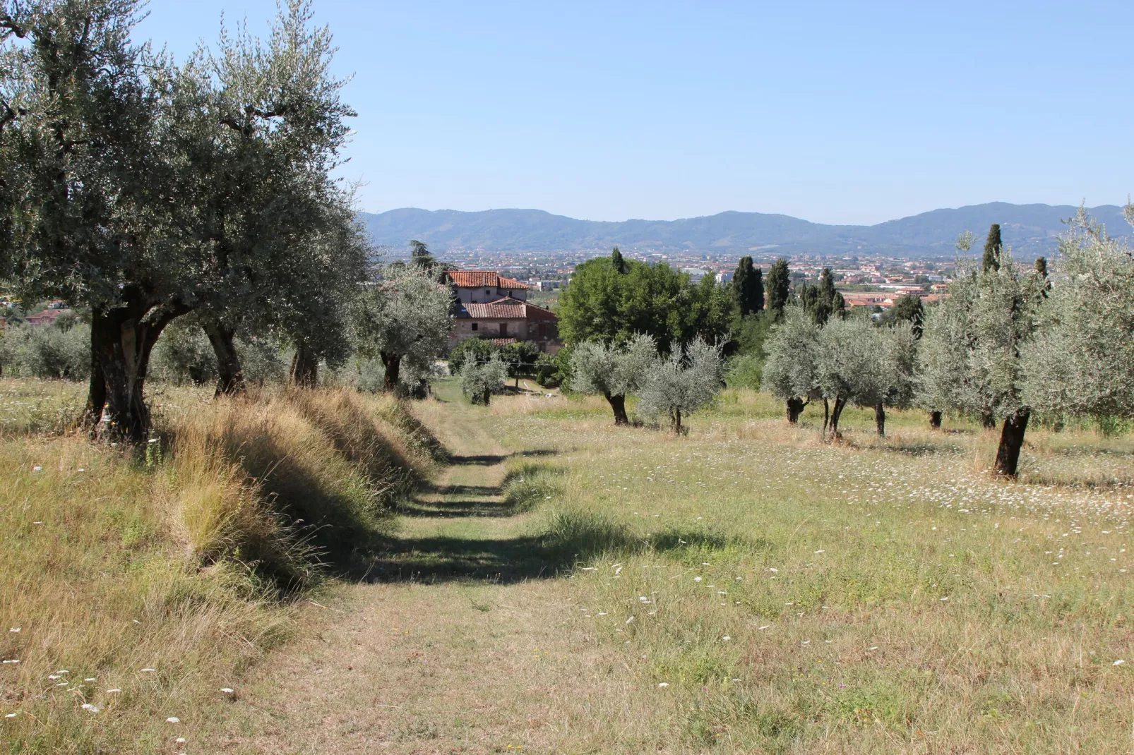 Villa il Brio x 6-Exterior summer