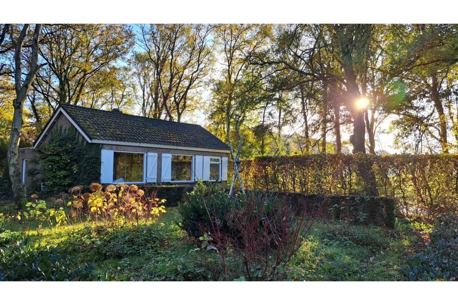 Vier Vogelenzang-Exterior summer
