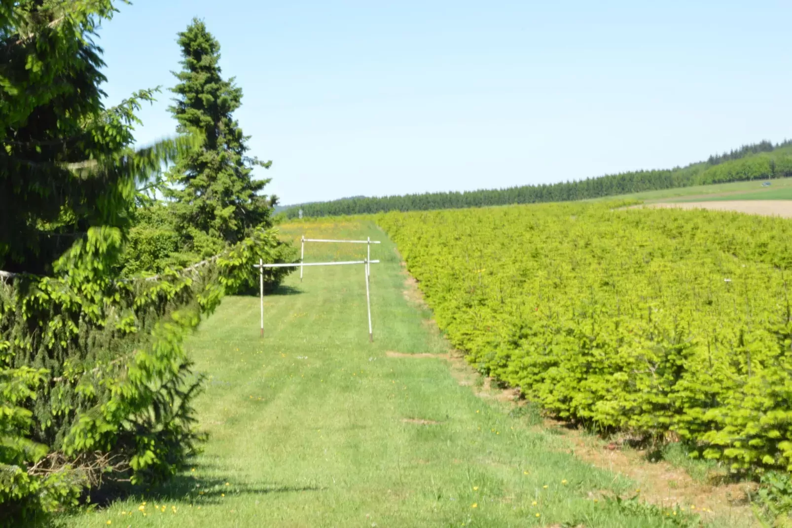 Les Chenets-Gardens summer