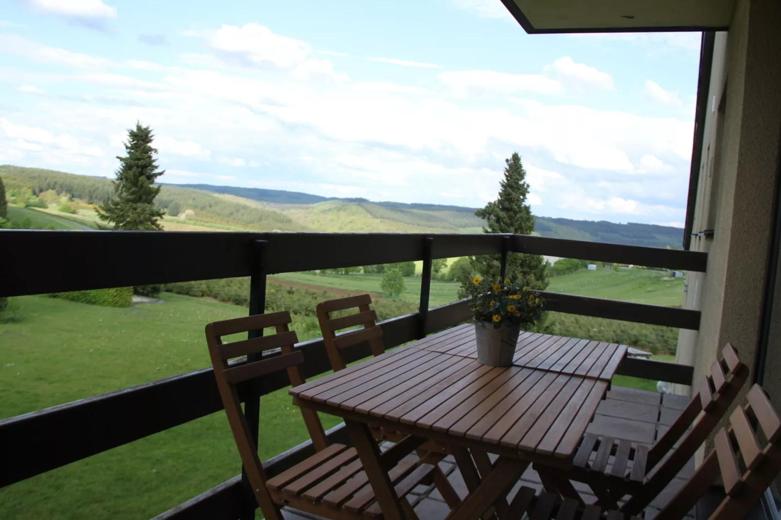Les Chenets-View summer