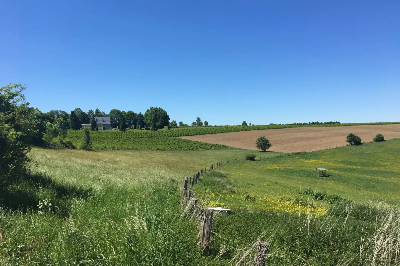 Les Chenets-View summer