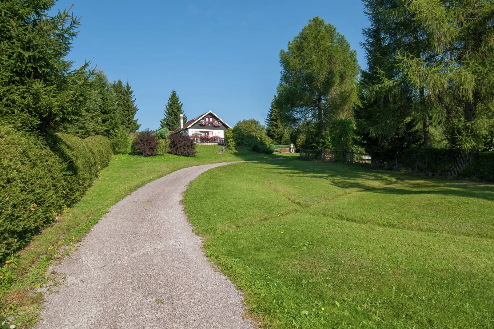 Thüringer Ferienhäuschen-Gardens summer