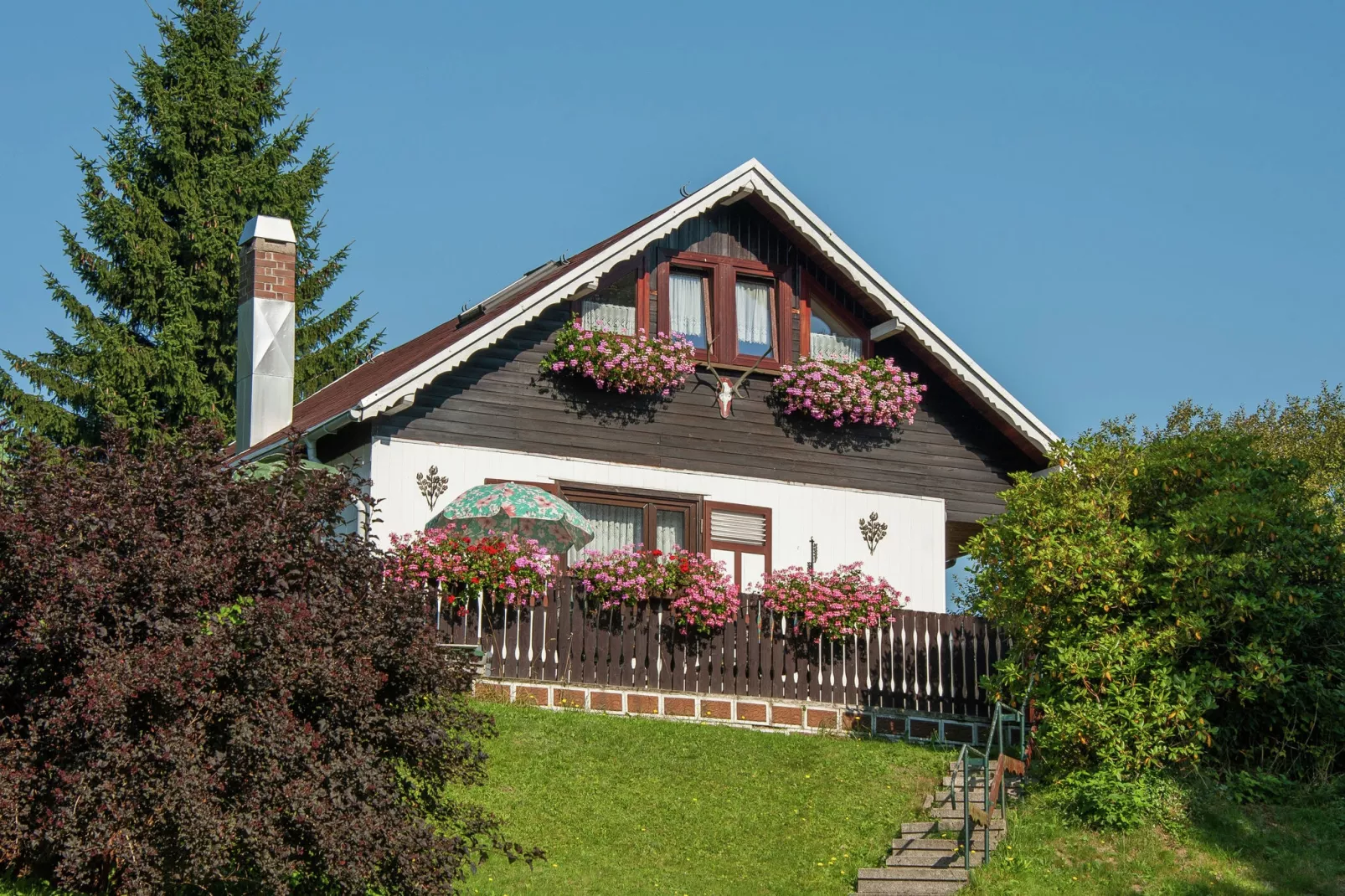 Thüringer Ferienhäuschen-Exterior summer