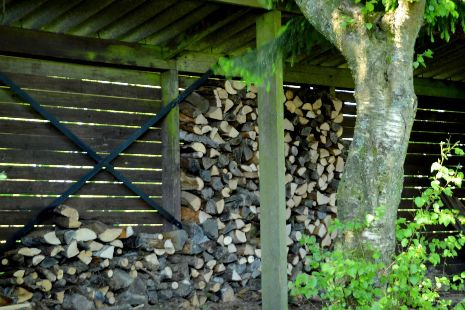 Les Chenets-Facilities