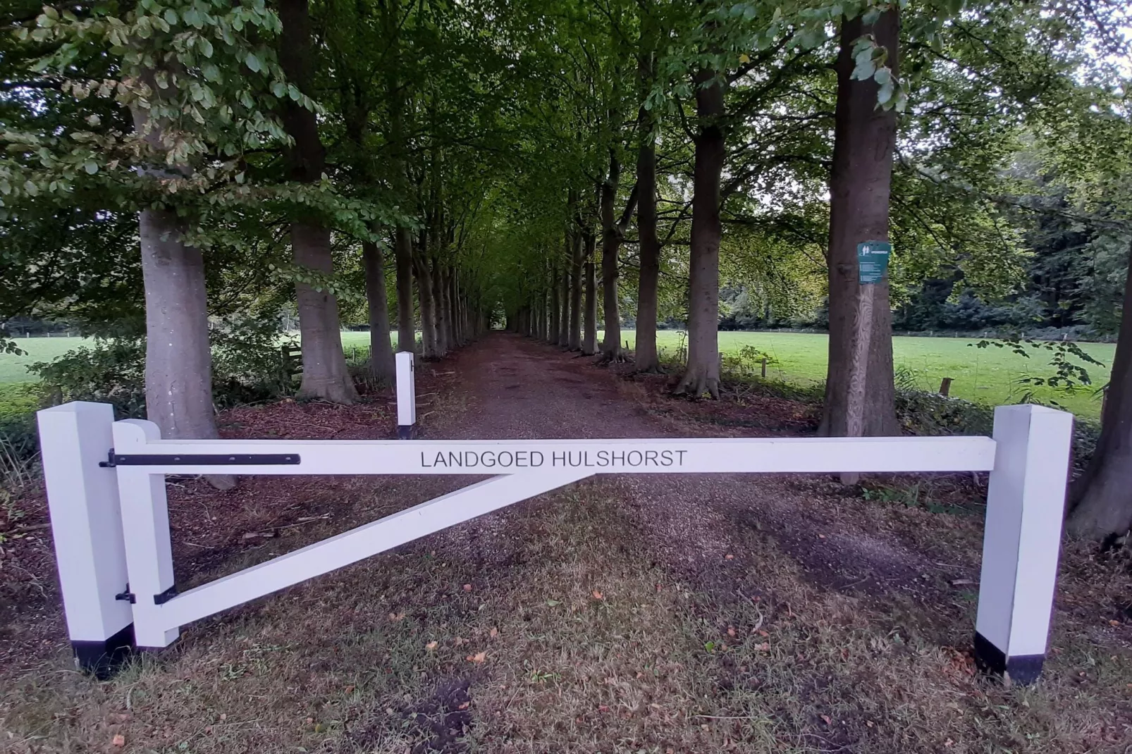 Hulshorsterhout-Areas summer 1km