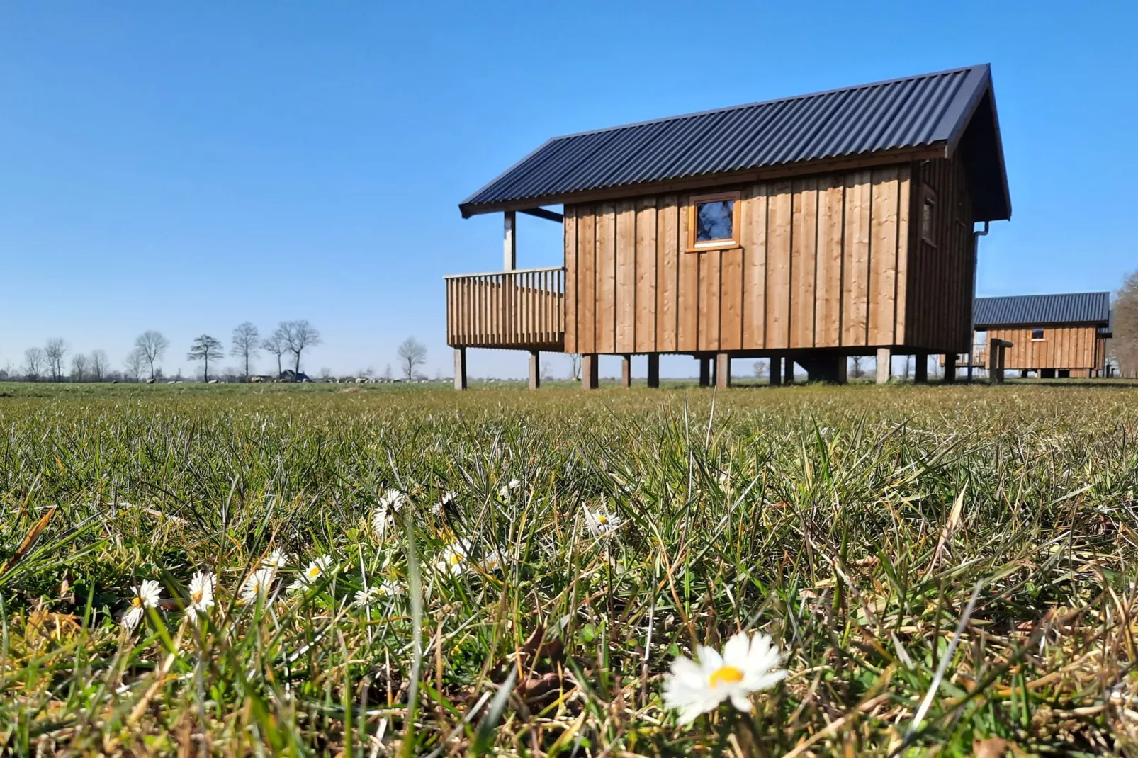 Acker Lodges 2-Extérieur été