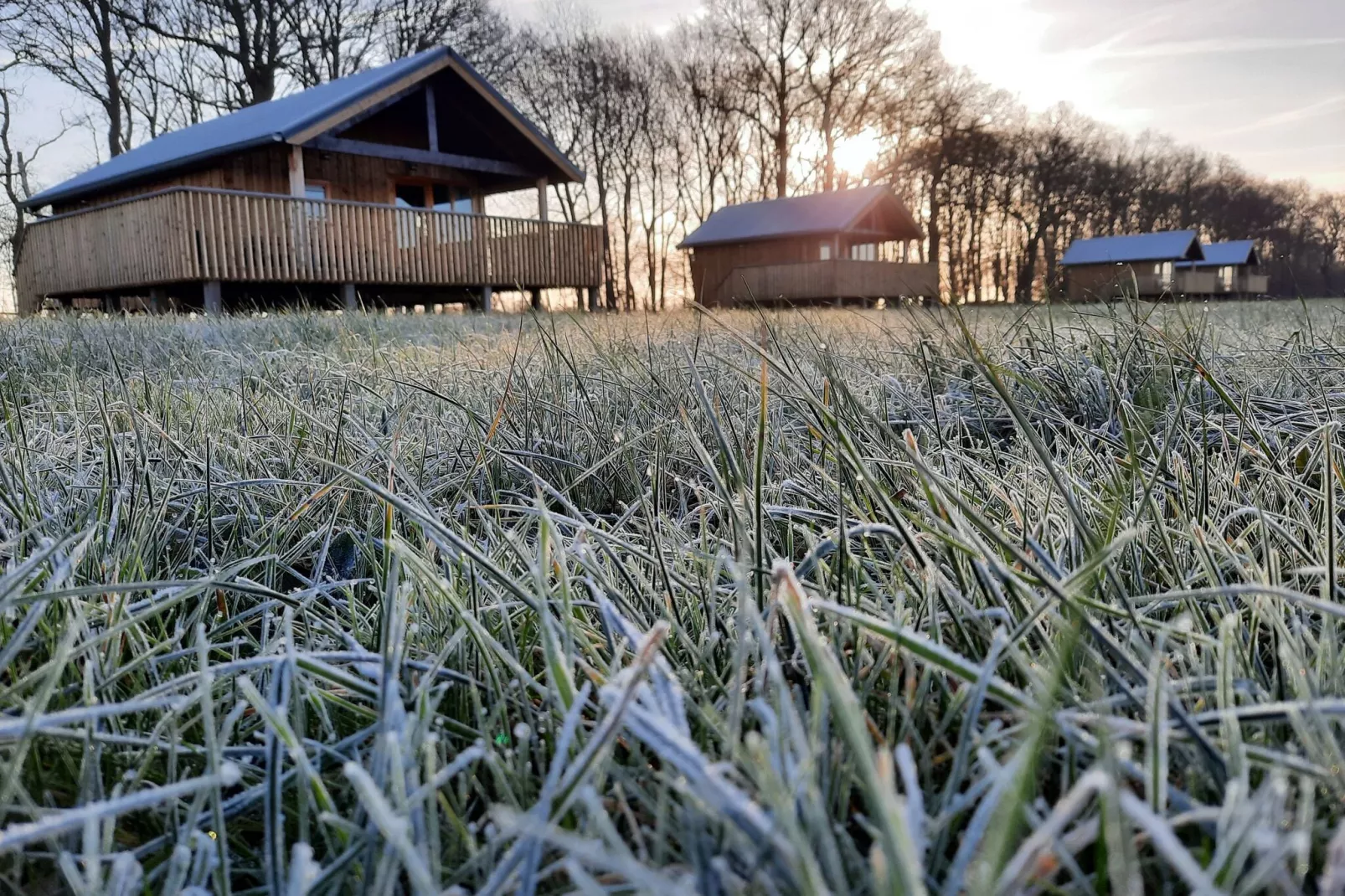 Acker Lodges 2-Vue d'été