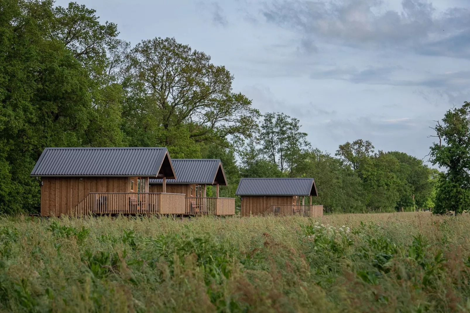 Acker Lodges 3-Extérieur été