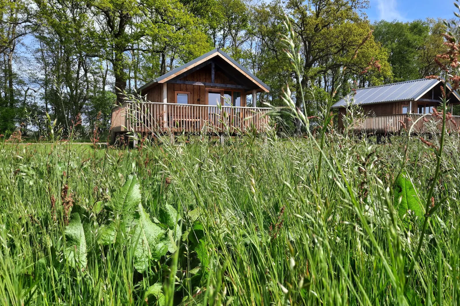 Acker Lodges 3-Extérieur été